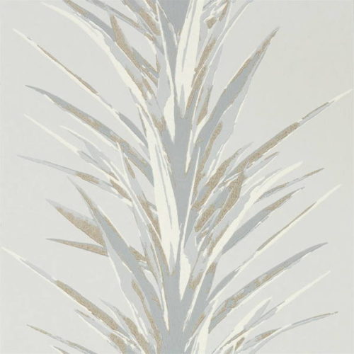 Yucca 216650